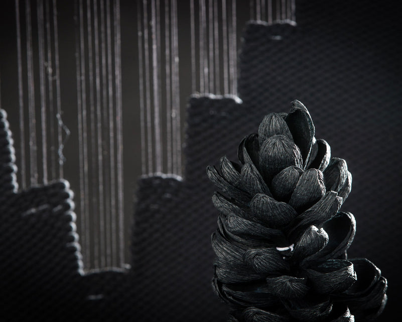 Lohe - Cotton Black Decoration