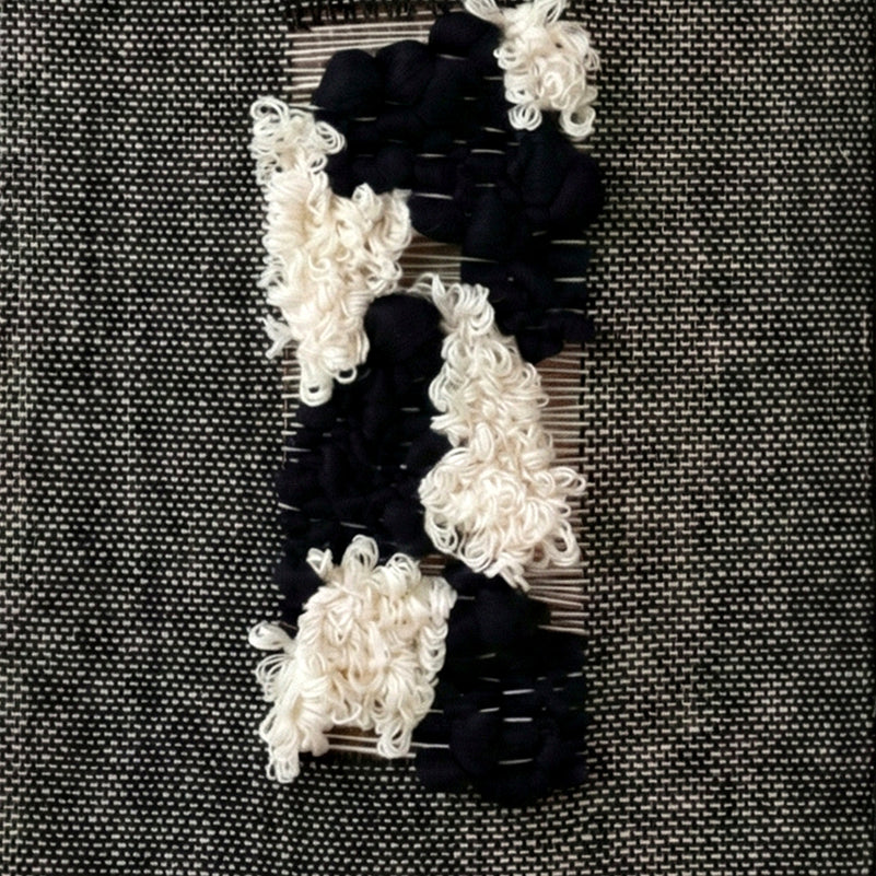 Velmono - Black Woven Wall Hanging