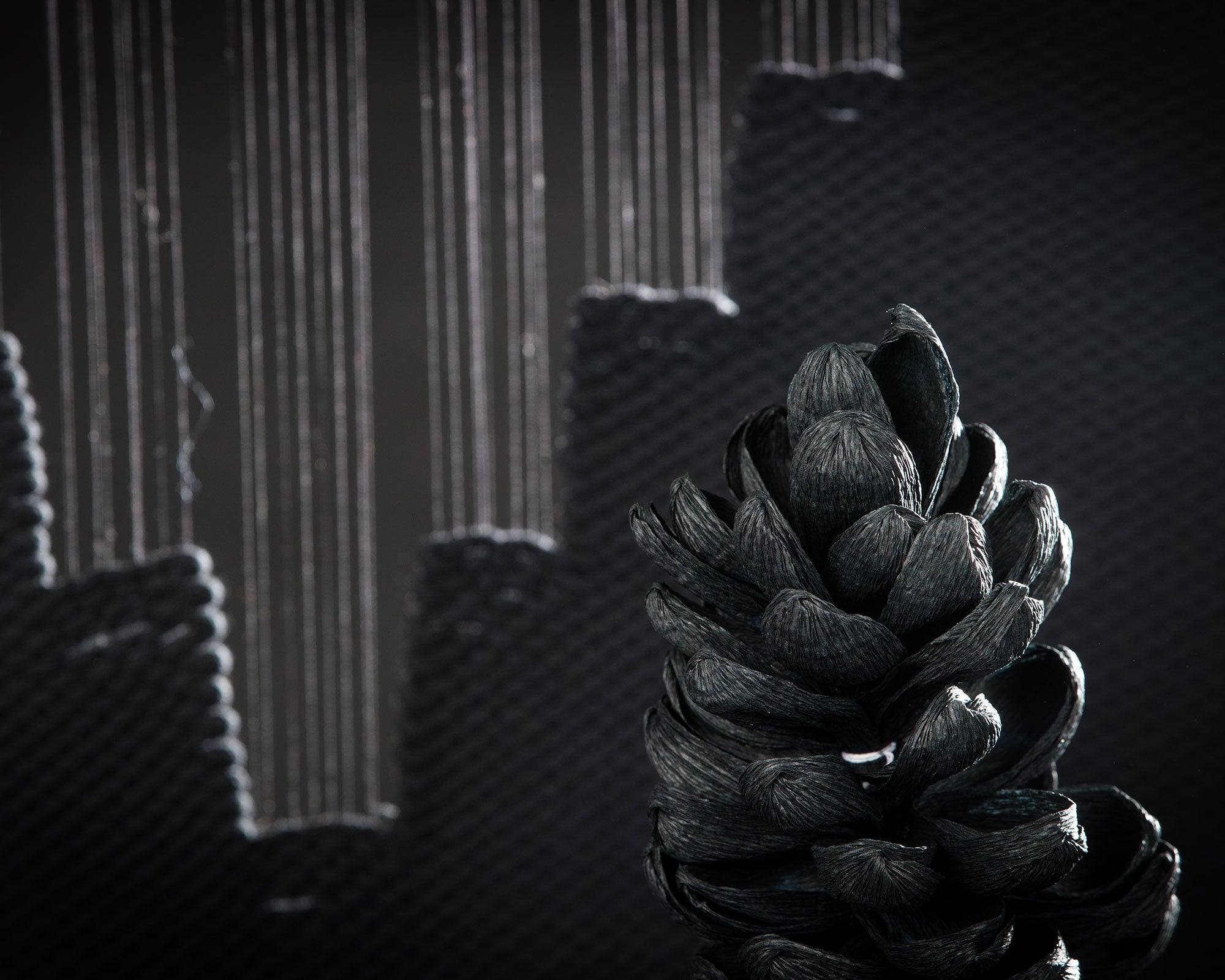 Lohe - Cotton Black Decoration